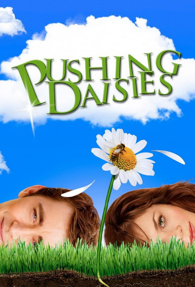 Pushing Daisies Poster